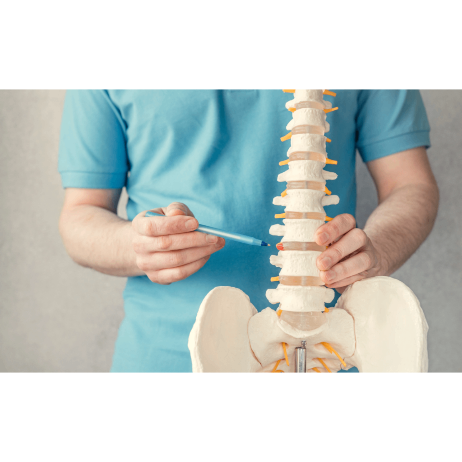 The Benefits of Renting a Suite for Chiropractors