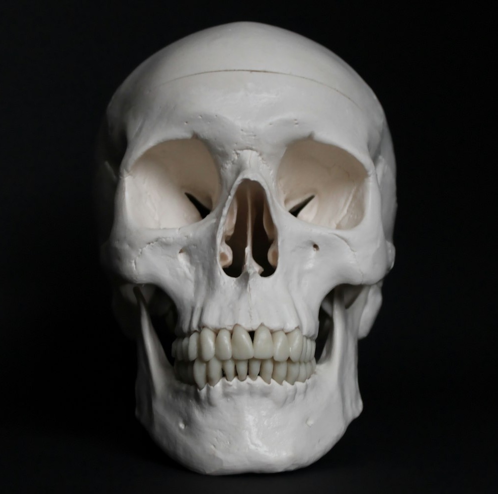 <p><span style="color: rgb(153, 209, 158);">Effective Treatments for TMJ Dysfunction</span></p>