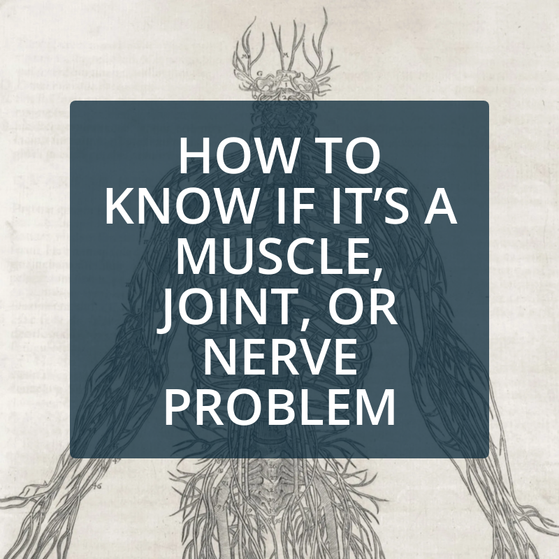 How to Know if It’s a Muscle, Joint, or Nerve Problem