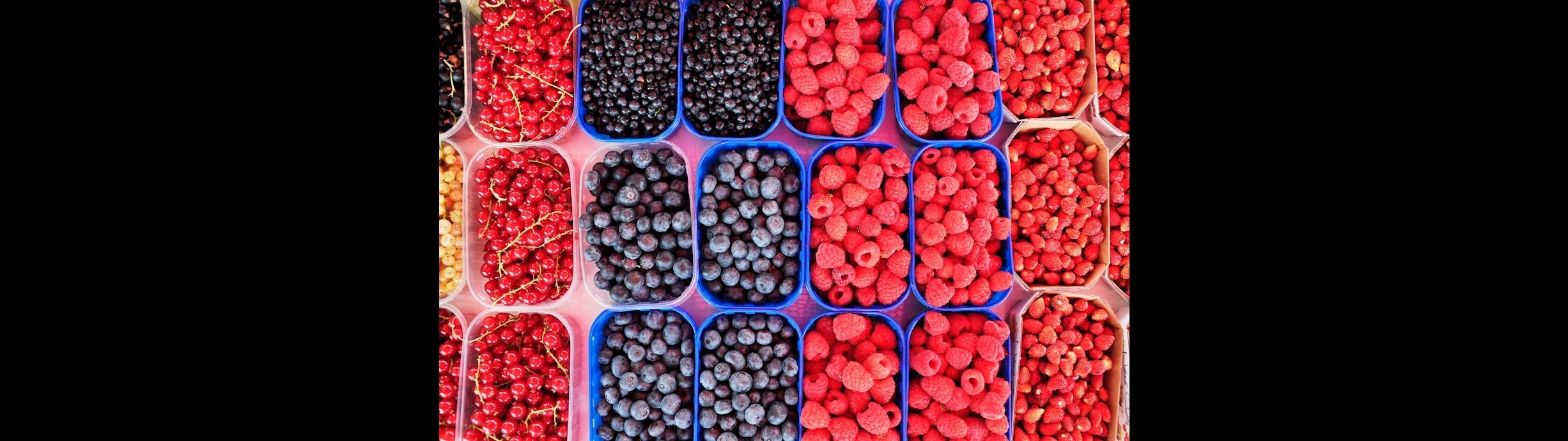 It's Berry Season!
