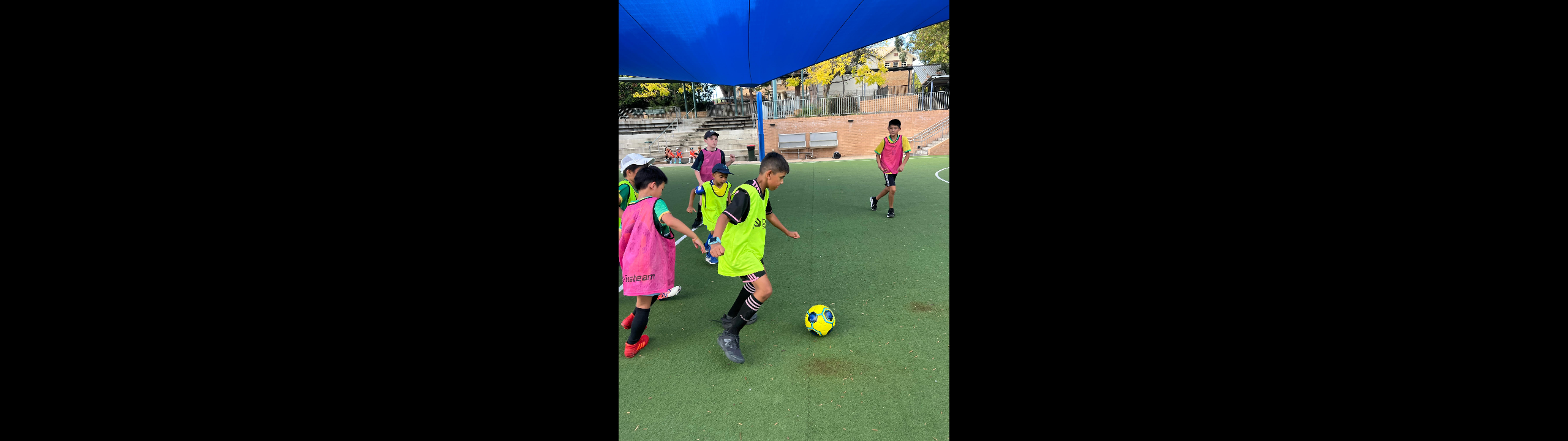 Term 2 Newsletter 