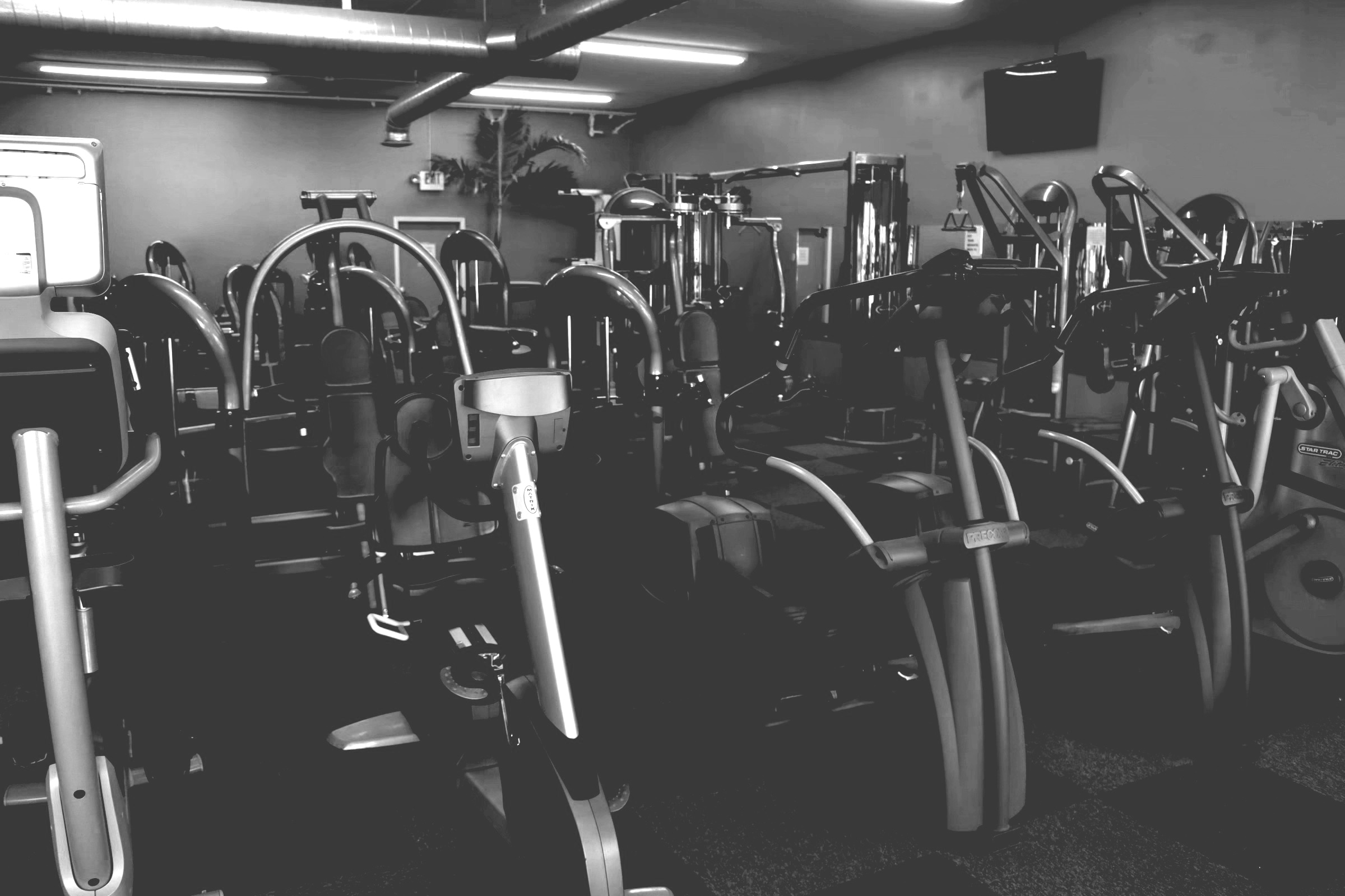 Achieve Your Fitness Goals with Expert Guidance