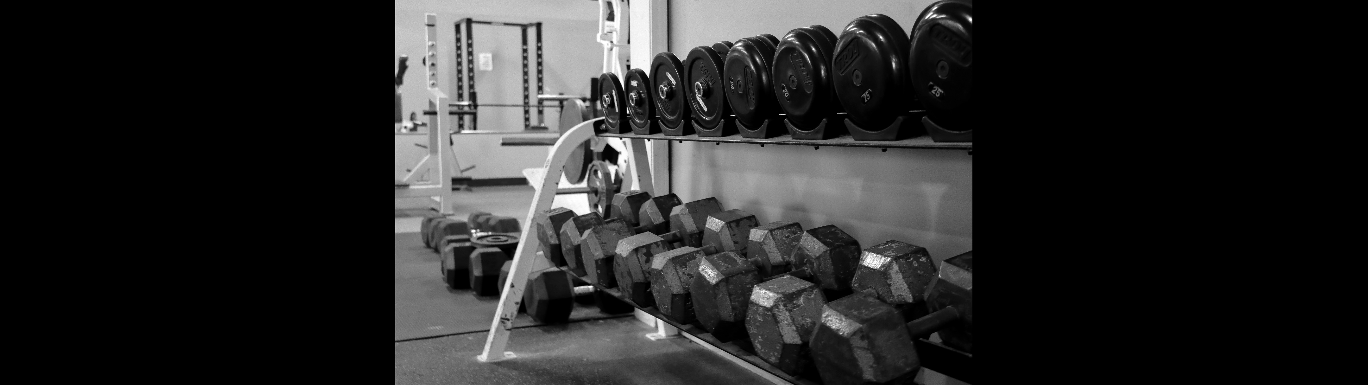 Winners Train...And Take Surveys...