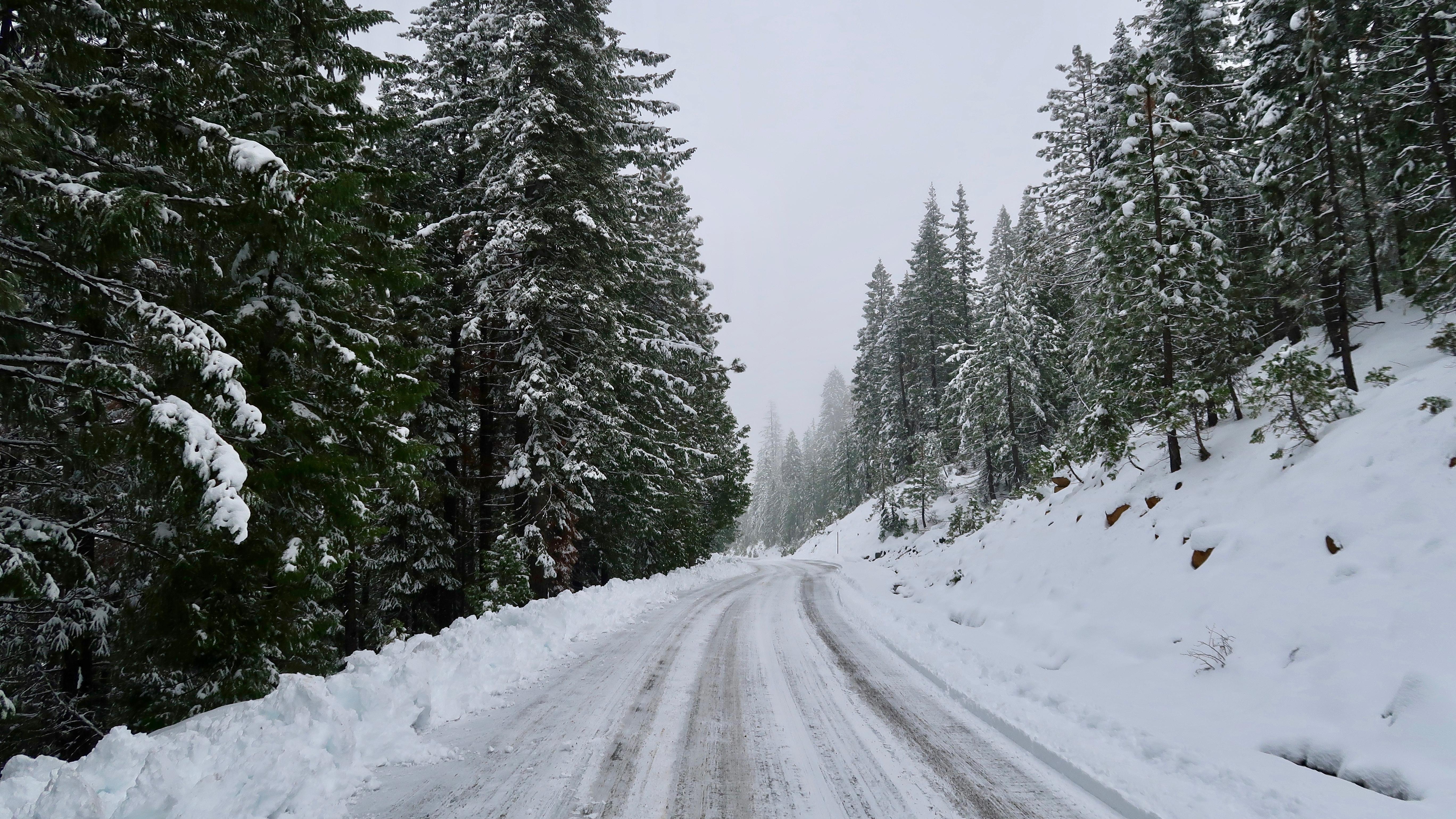 Runners: Conquer this Winter