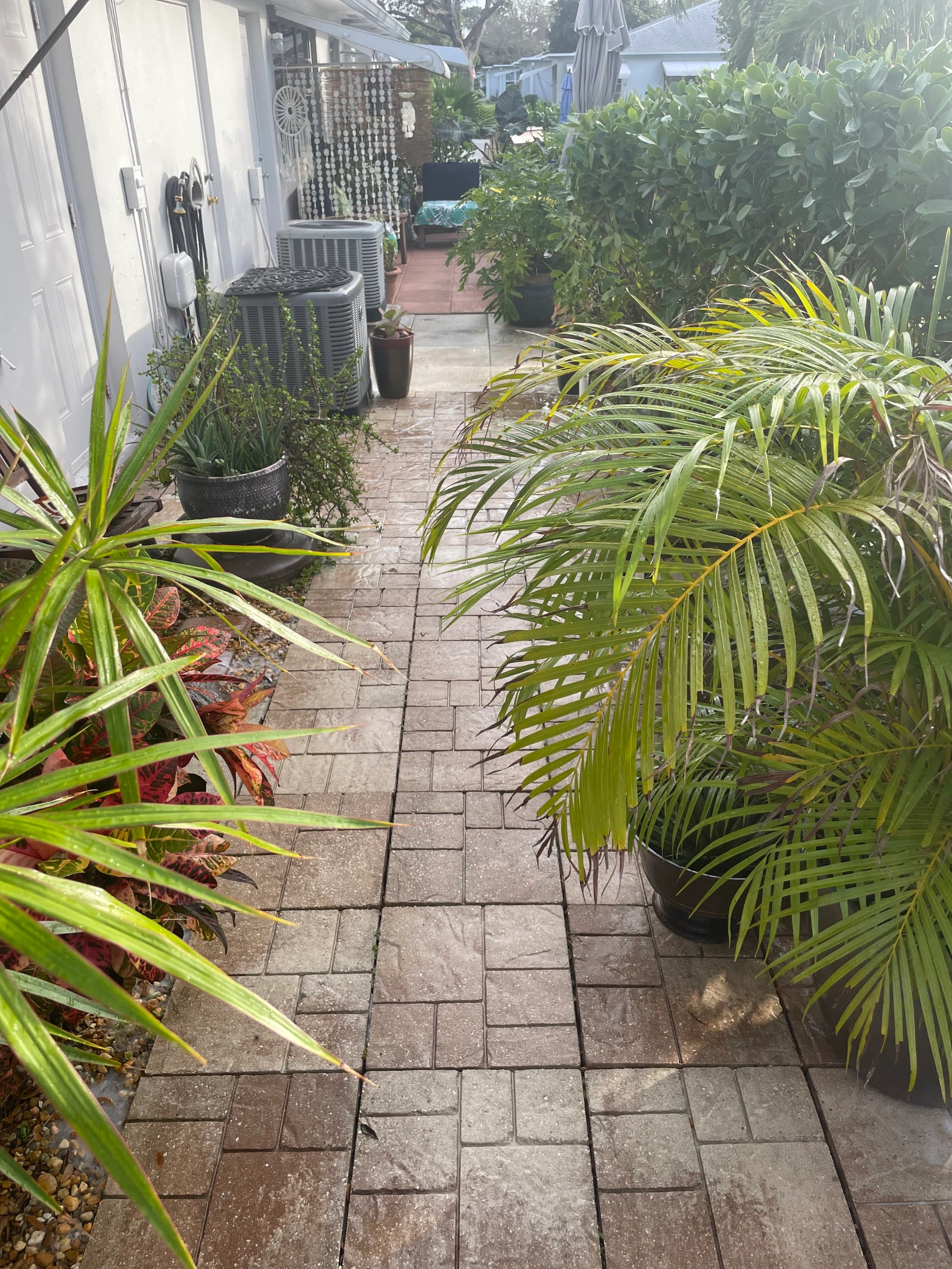 Transform your outdoor spaces into serene retreats with our expert cleaning.