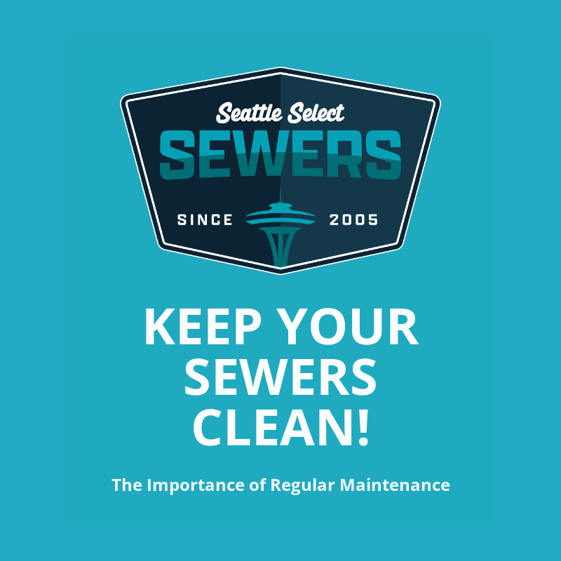 The Importance of Preventative Sewer Maintenance for Homeowners
