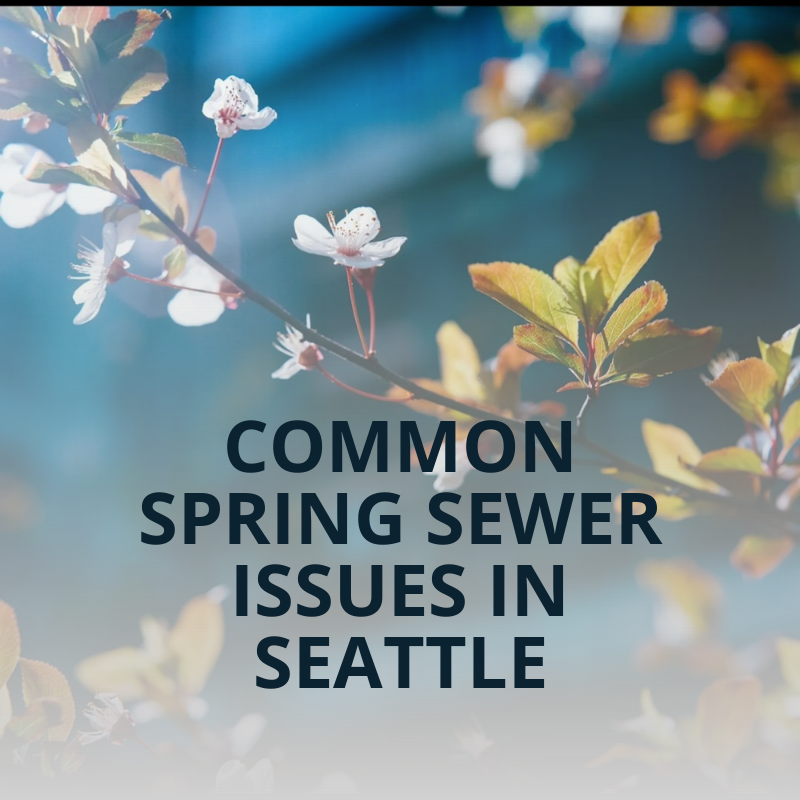 Common Spring Sewer Issues in Seattle