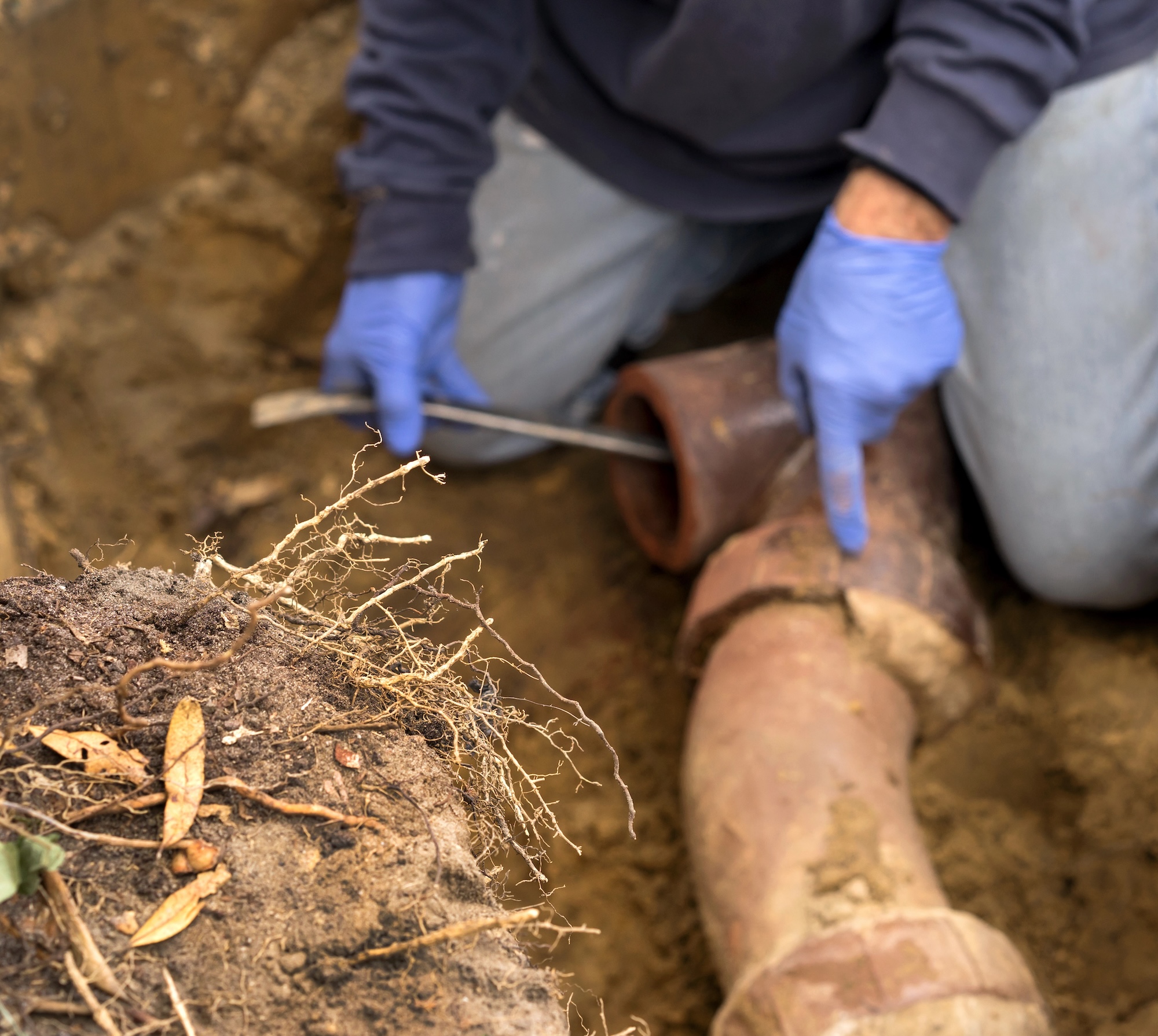 Keep your sewer lines clear and functioning efficiently.