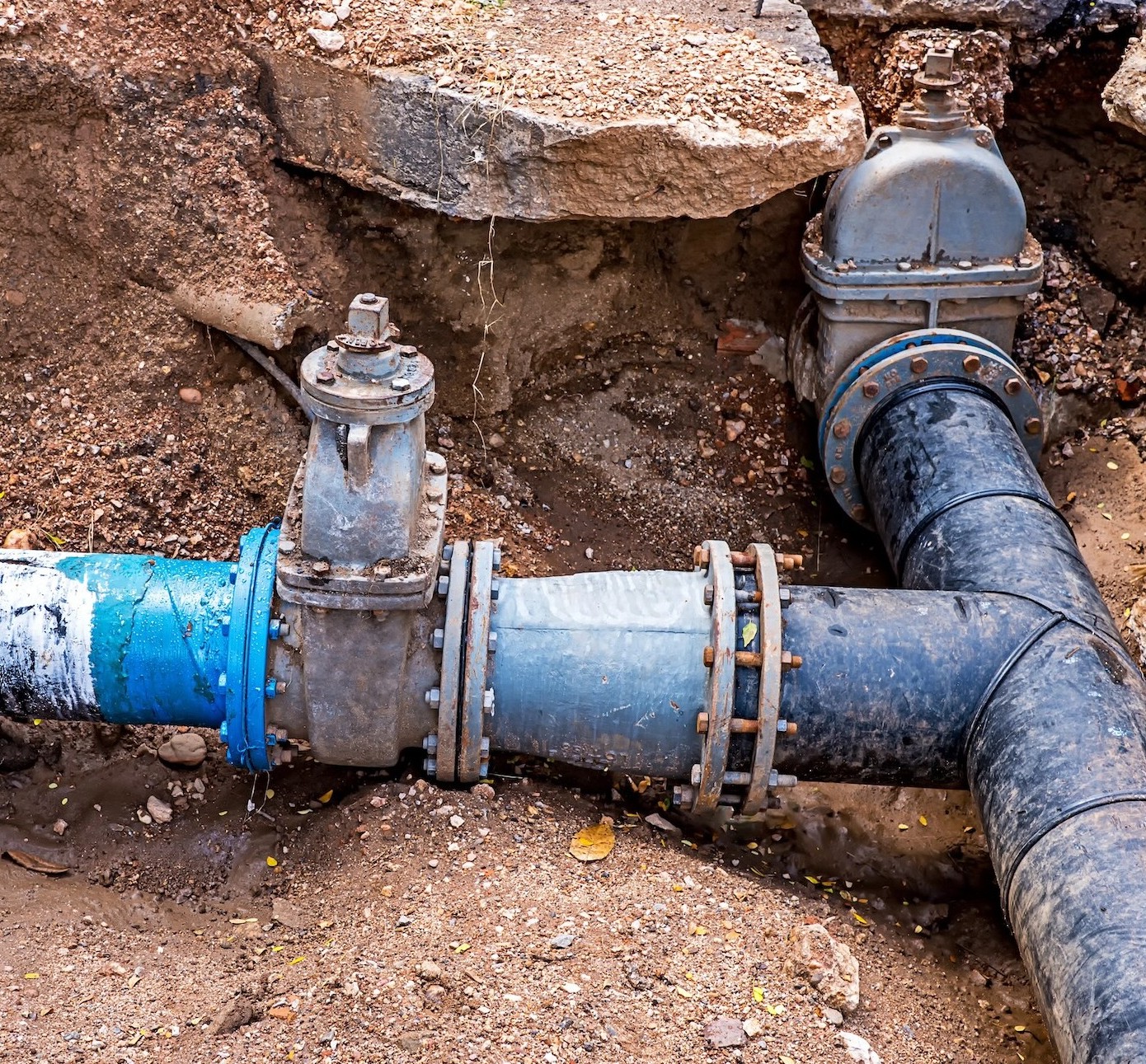 <p>Premier Sewer Maintenance and Repair</p>