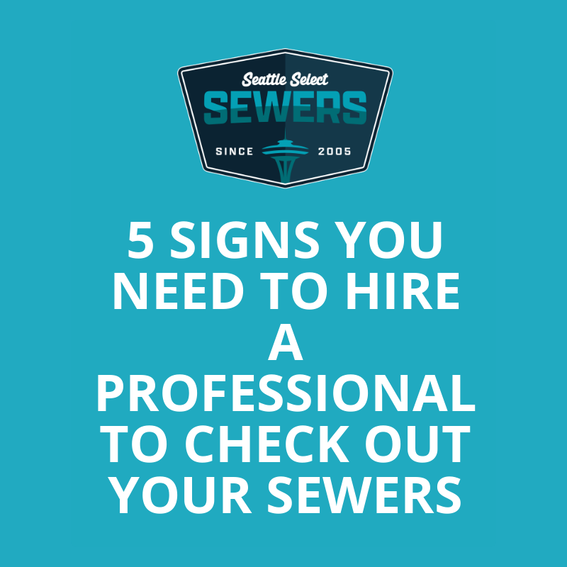 5 Signs You Need to Hire a Professional to Check Out Your Sewers