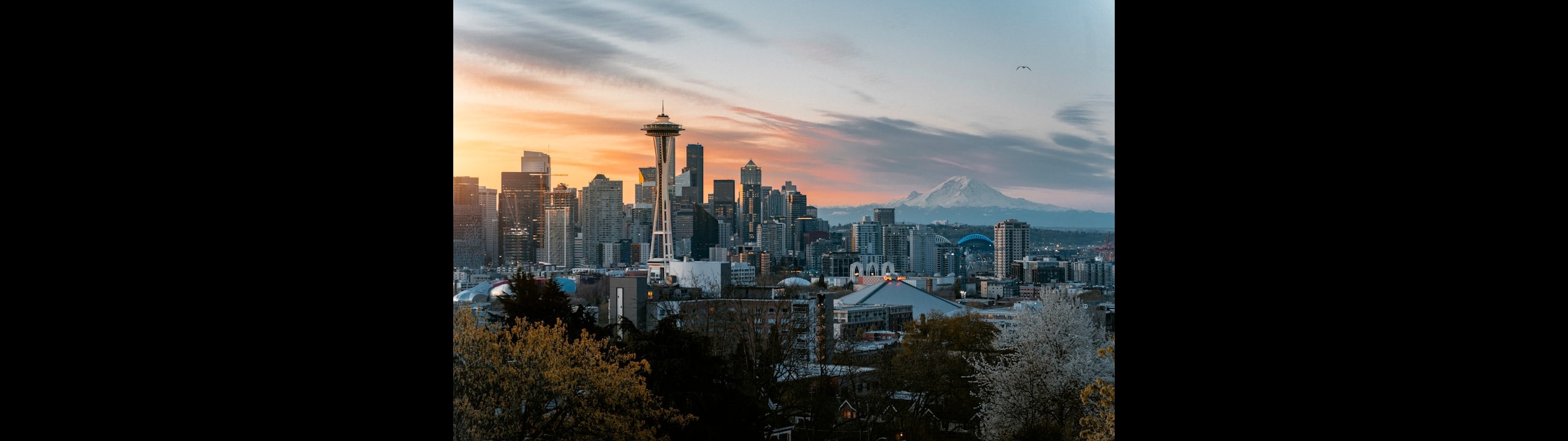 Seattle Sewer Inspections: How to Spot Early Warning Signs in Your Home