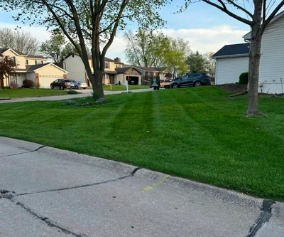 Personalized services designed to meet the unique needs of your lawn.