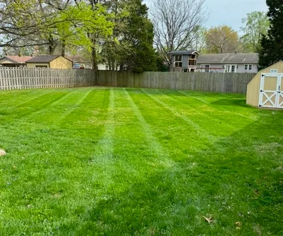 Skilled specialists with years of experience and a passion for lawn care.
