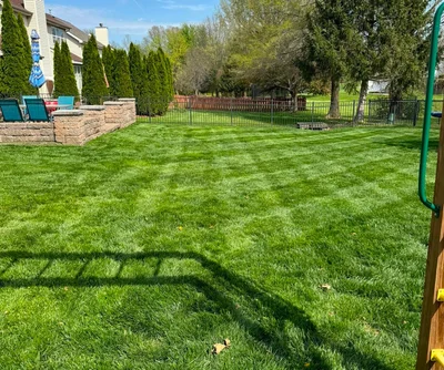 Eco-friendly solutions that protect our environment while enhancing your lawn.