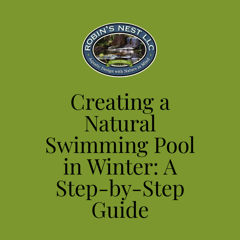 Creating a Natural Swimming Pool in Winter: A Step-by-Step Guide