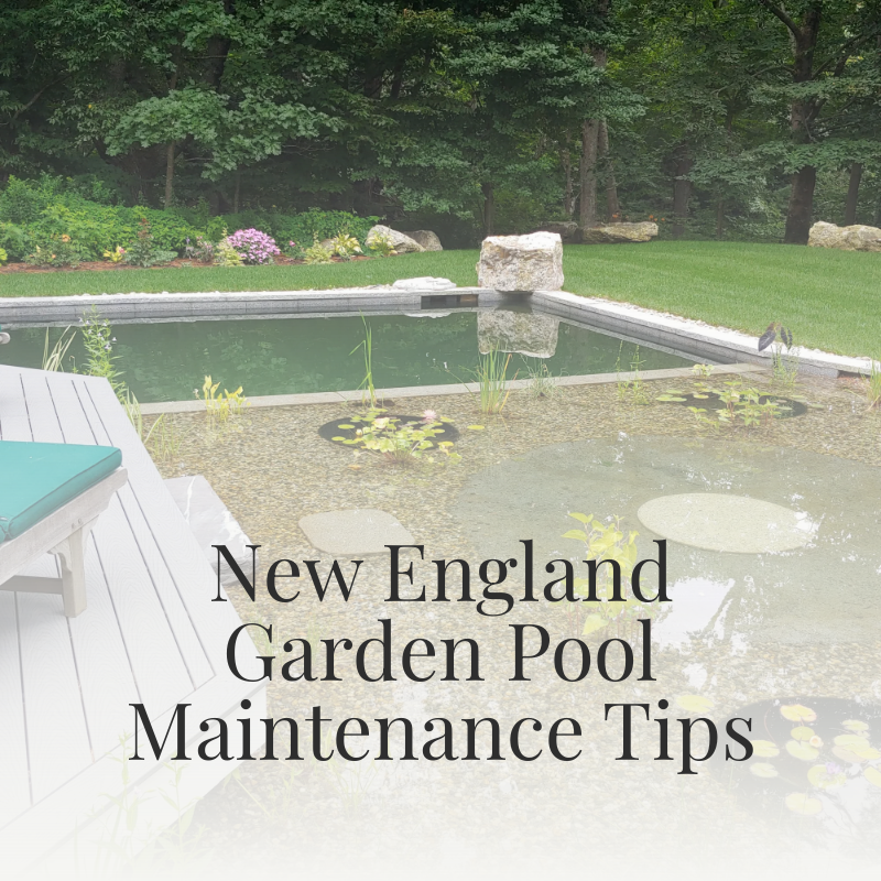 New England Garden Pool Maintenance Tips