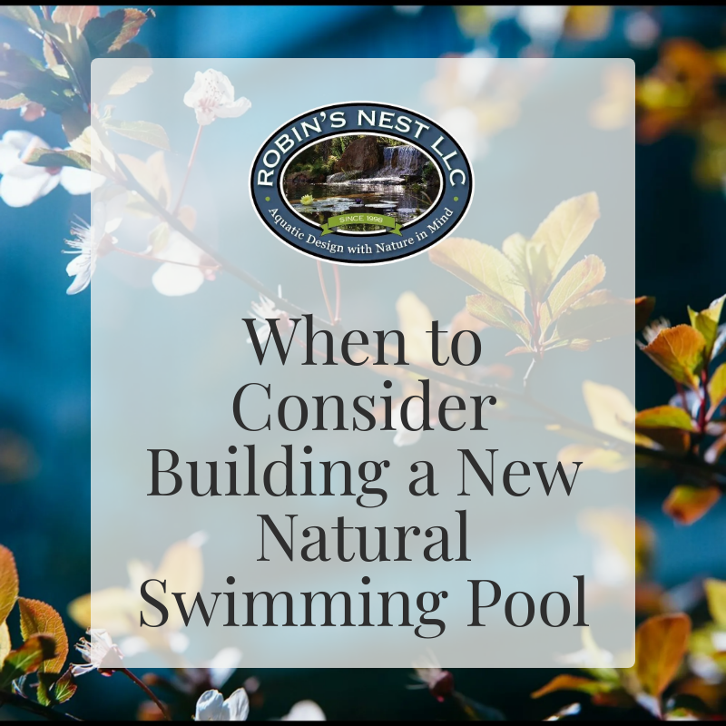 When to Consider Building a New Natural Swimming Pool