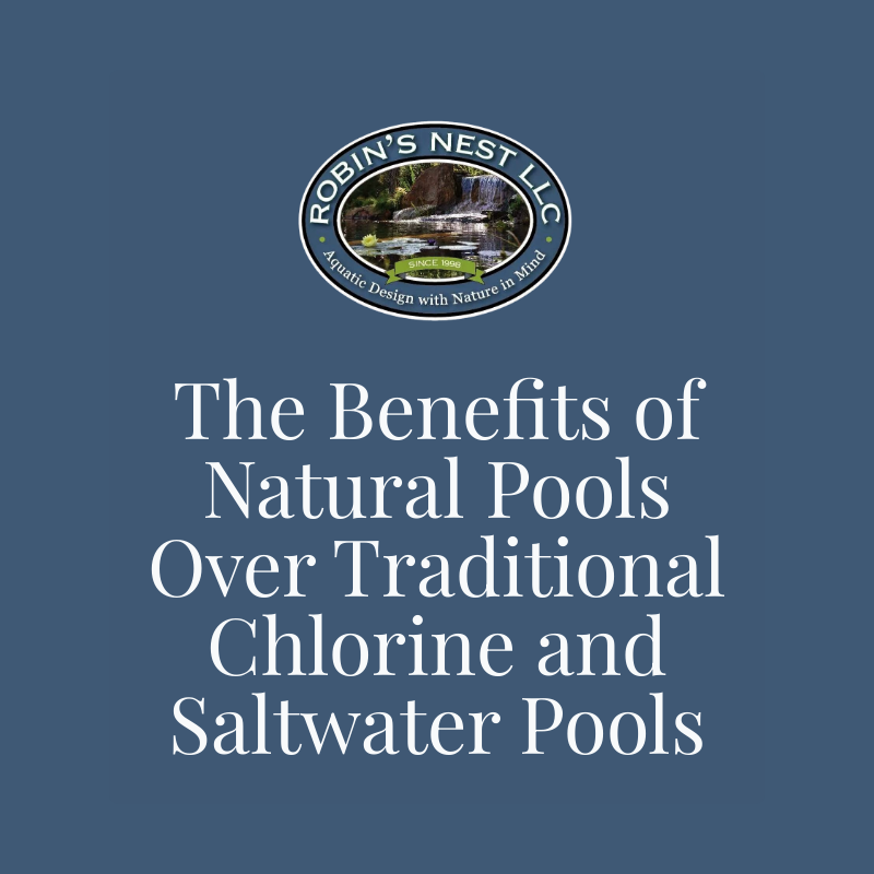 The Benefits of Natural Pools Over Traditional Chlorine and Saltwater Pools