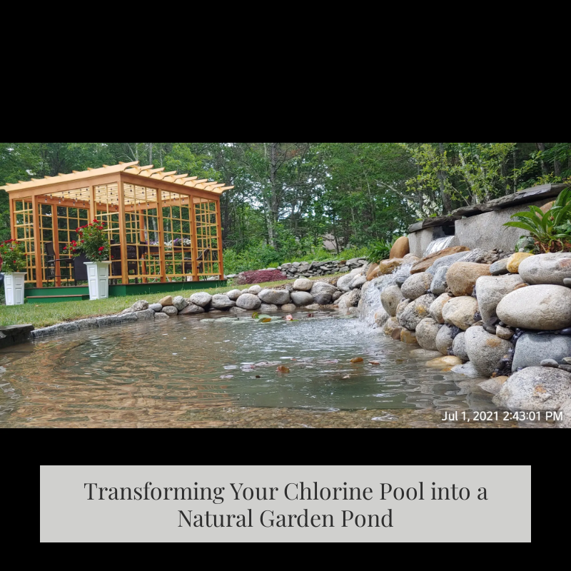 Transforming Your Chlorine Pool into a Natural Garden Pond