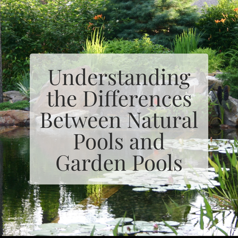 Understanding the Differences Between Natural Pools and Garden Pools