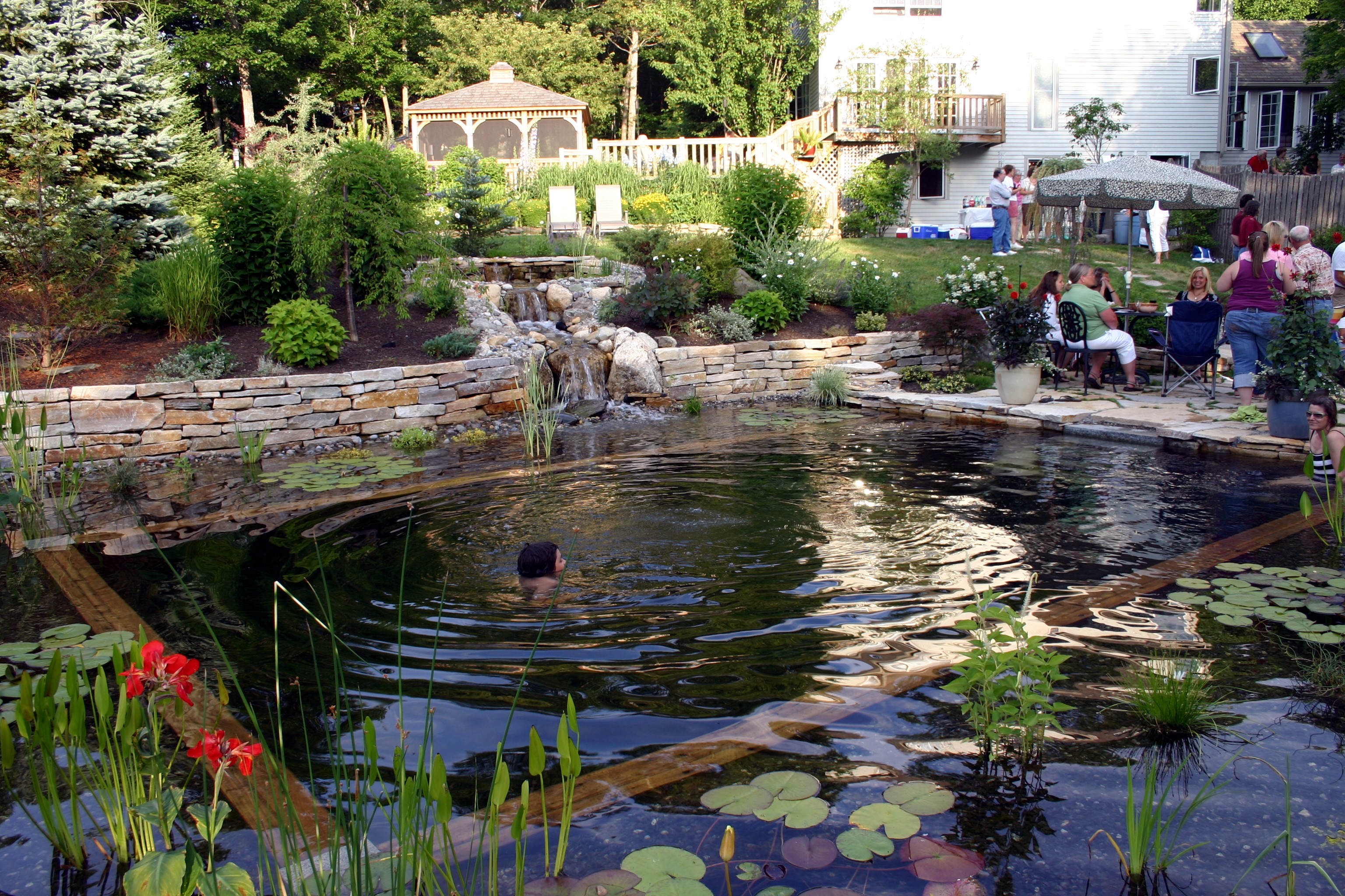 Creating Natural Swimming Pools with Care