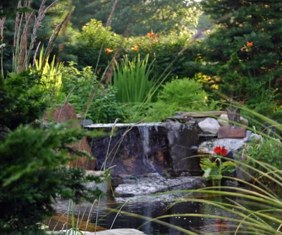 Build your own natural pool with our easy-to-use kits.