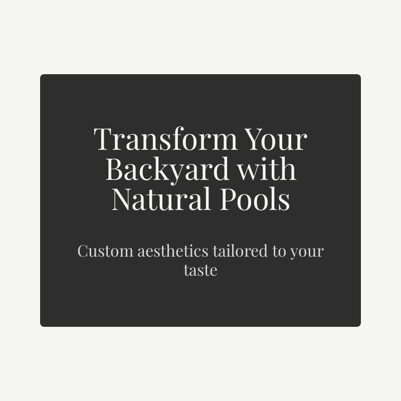 Designing Natural Pools: Custom Aesthetics for Your Outdoor Space