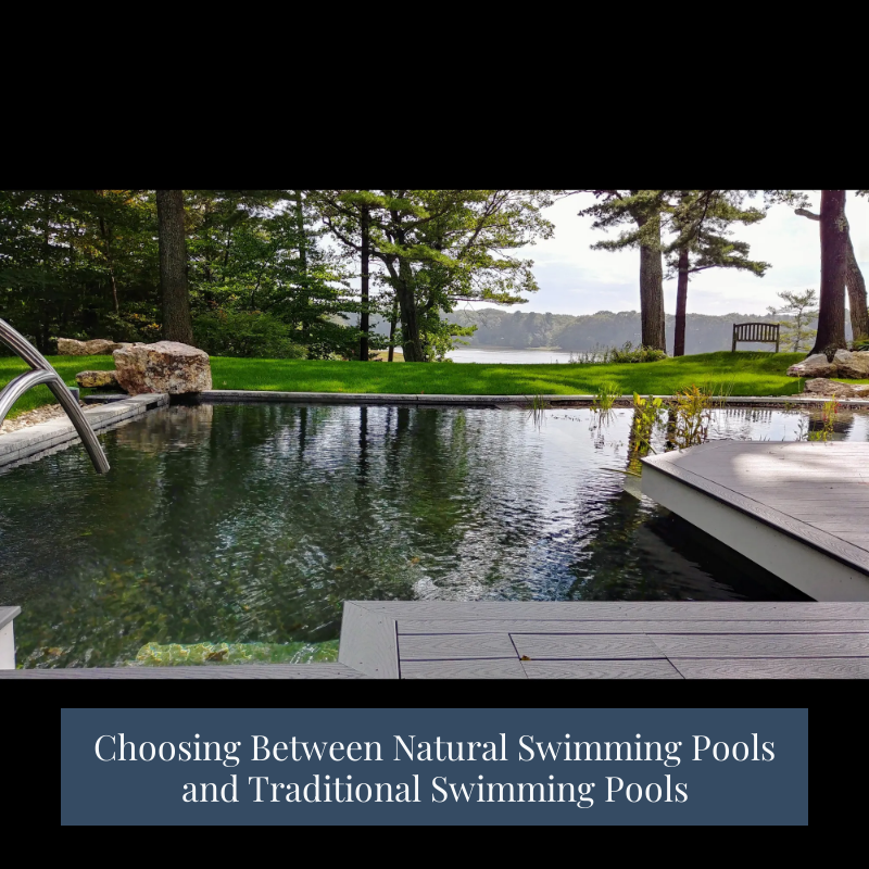 Choosing Between Natural Swimming Pools and Traditional Swimming Pools