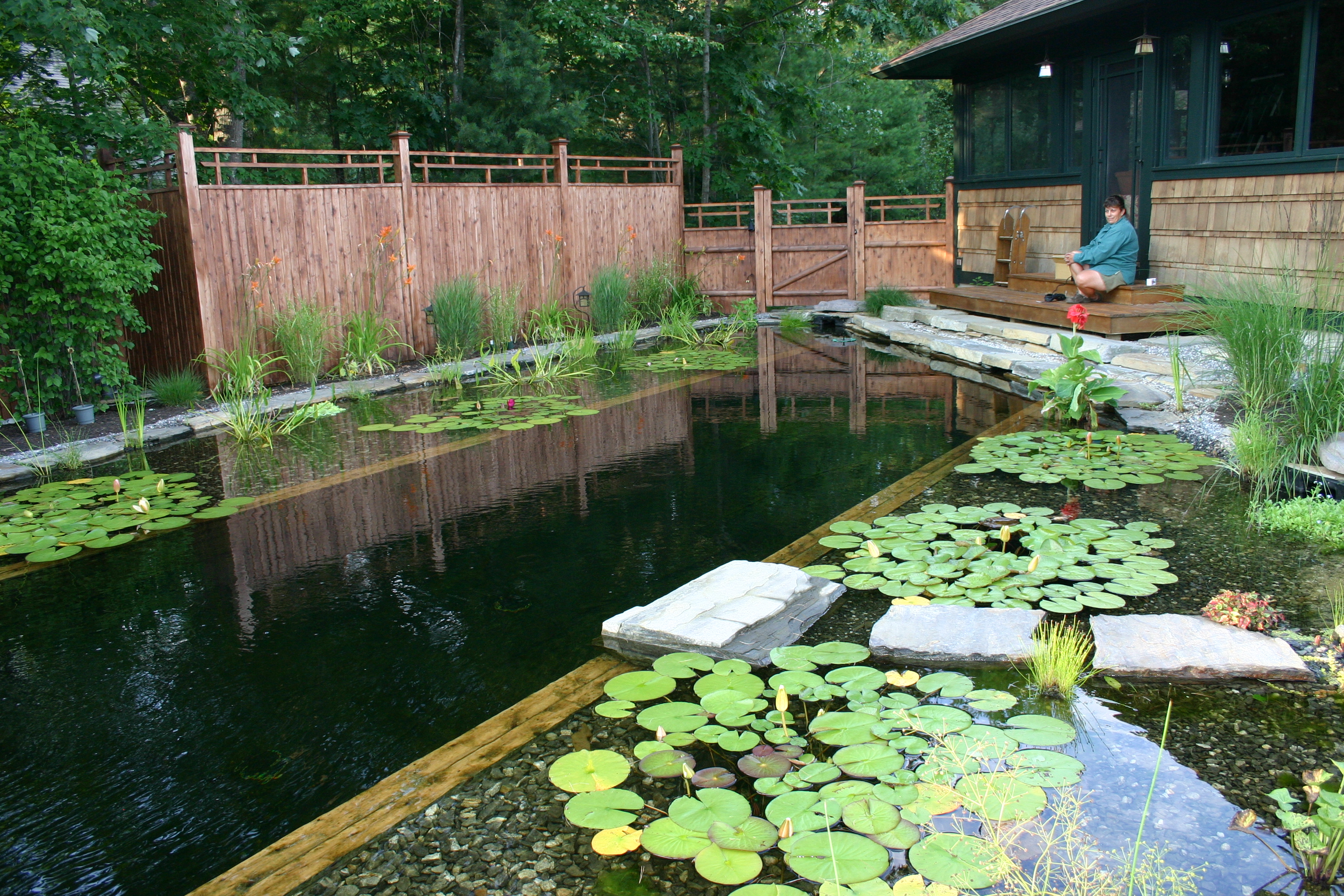 Experience a Clear and Healthy Pond with Our Expert Services