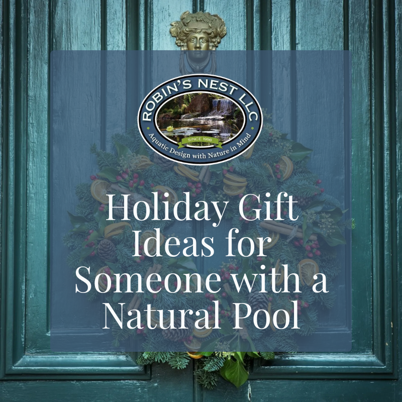 Holiday Gift Ideas for Someone with a Natural Pool