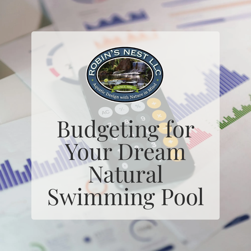 Budgeting for Your Dream Natural Swimming Pool