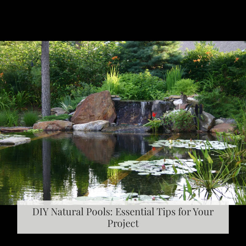 DIY Natural Pools: Essential Tips for Your Project