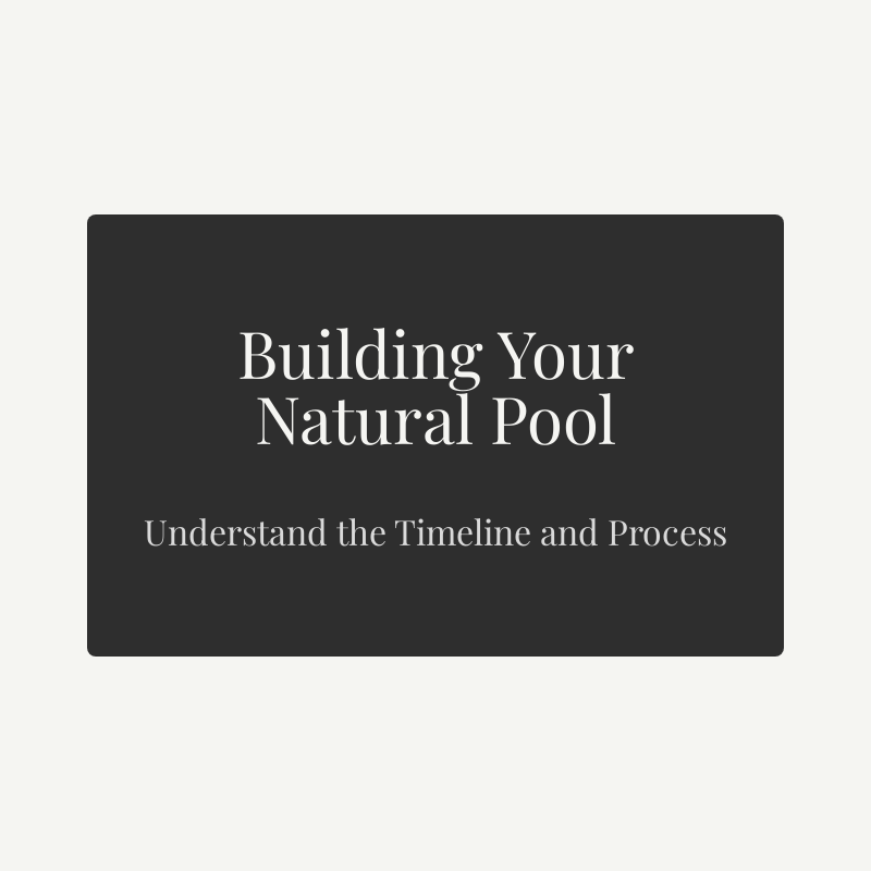 Understanding the Timeline for Building a Natural Pool