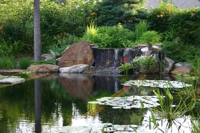 Learn how our pools harmonize with nature while enhancing your landscape.