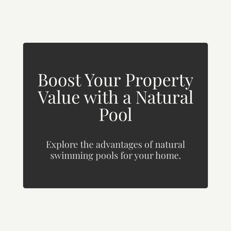 Why Investing in a Natural Swimming Pool Can Boost Your Property Value