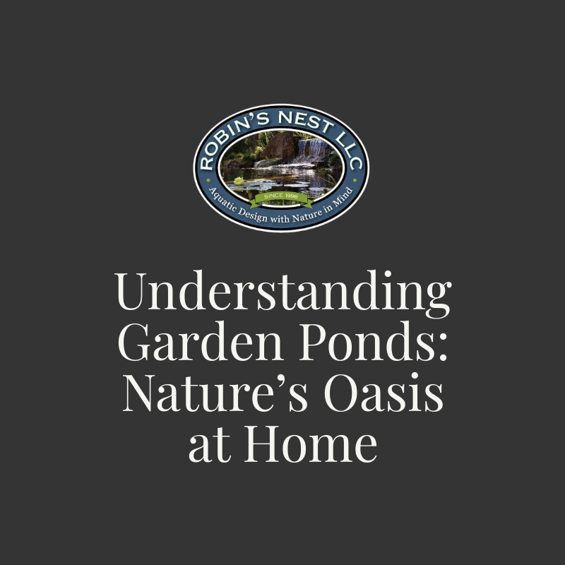 Understanding Garden Ponds: Nature’s Oasis at Home