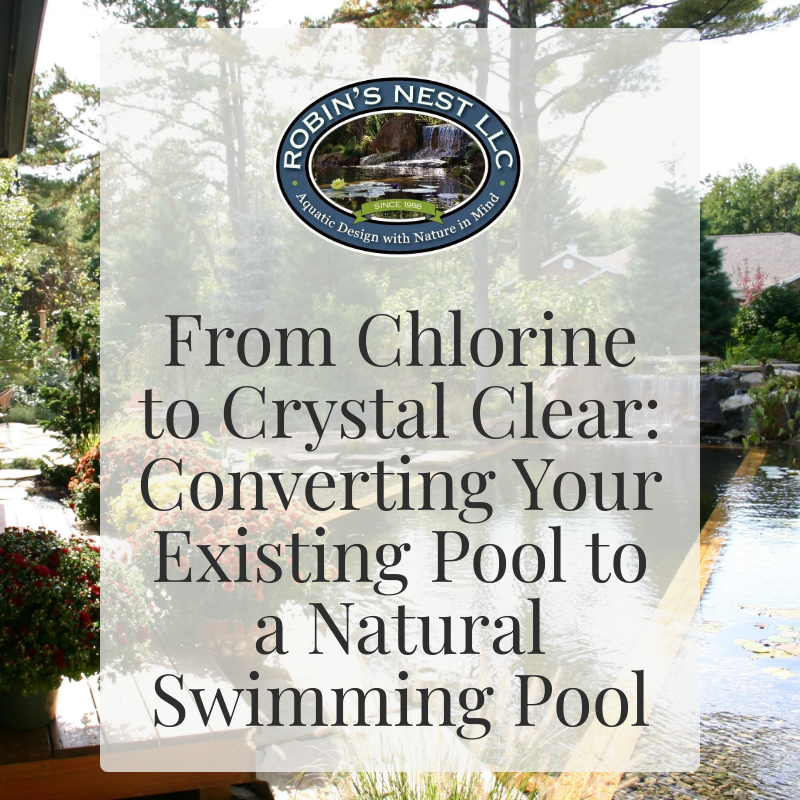 From Chlorine to Crystal Clear: Converting Your Existing Pool to a Natural Swimming Pool