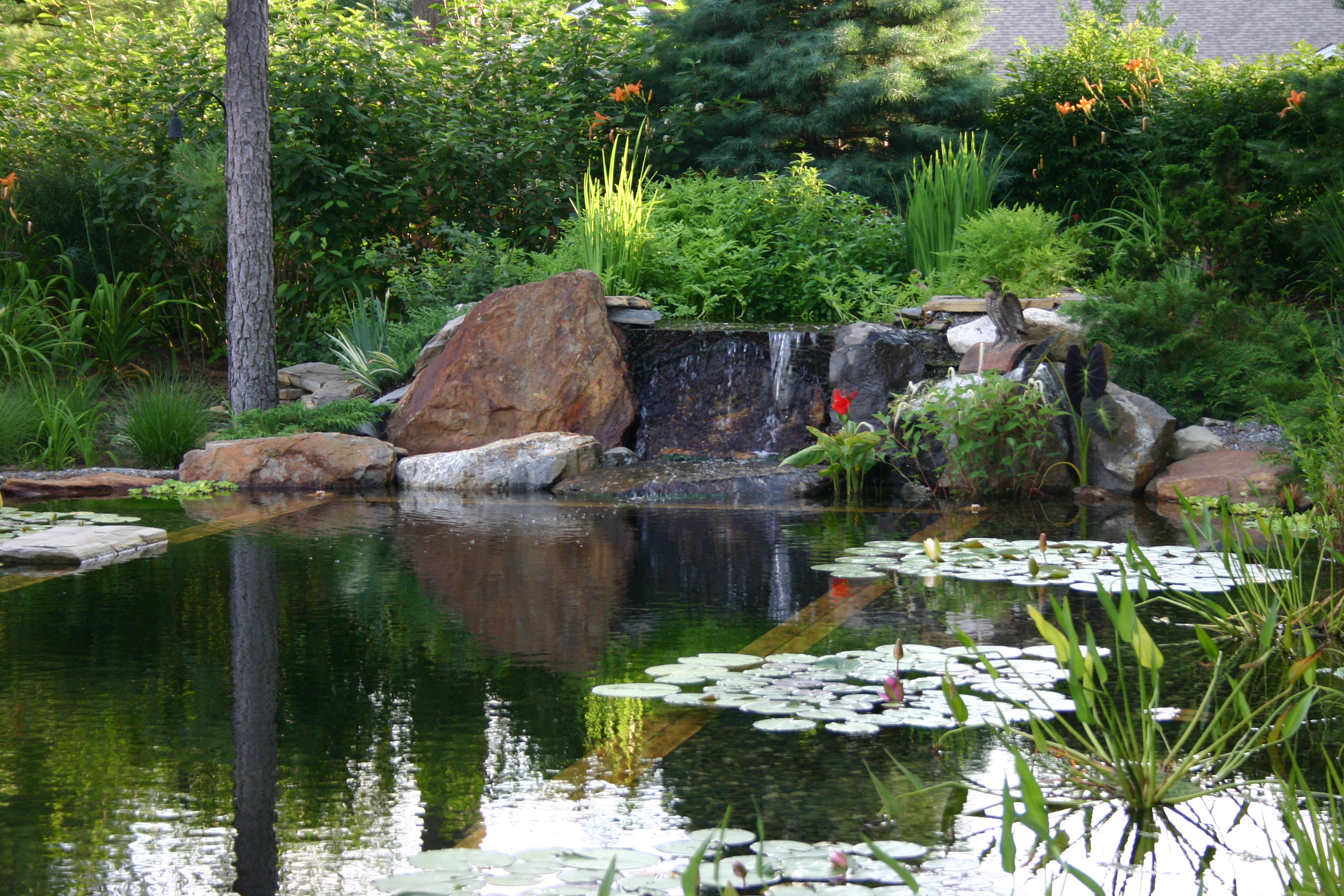 Expert guidance for a sustainable pool experience.