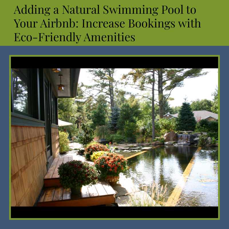 Adding a Natural Swimming Pool to Your Airbnb: Increase Bookings with Eco-Friendly Amenities
