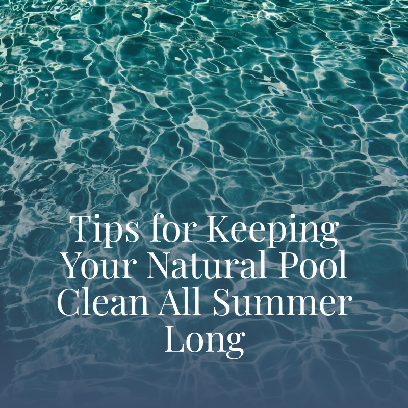Tips for Keeping Your Natural Pool Clean All Summer Long
