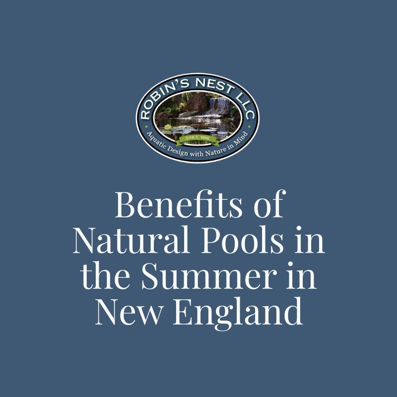 Benefits of Natural Pools in the Summer in New England