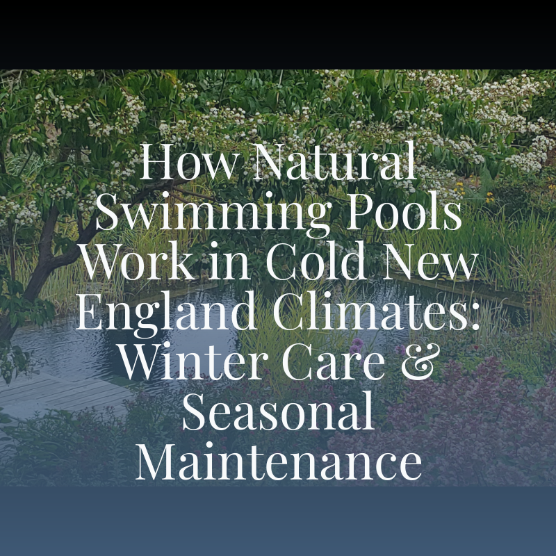 How Natural Swimming Pools Work in Cold New England Climates: Winter Care & Seasonal Maintenance