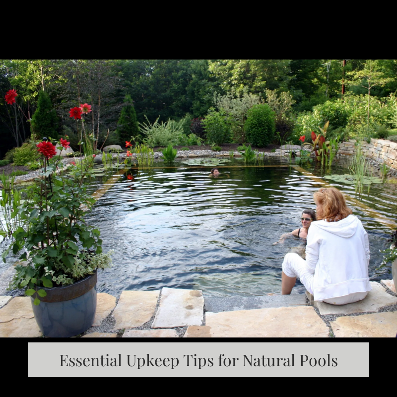 Essential Upkeep Tips for Natural Pools