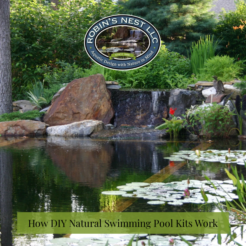 How DIY Natural Swimming Pool Kits Work