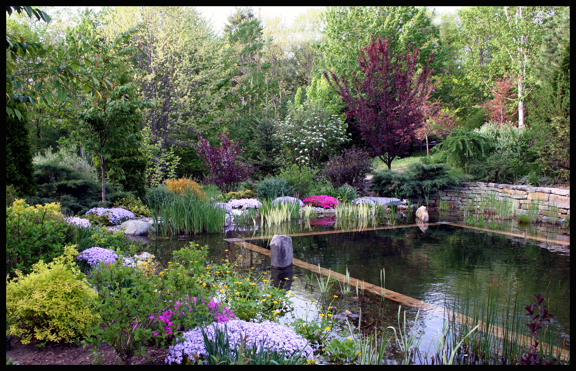 <p>Learn if your yard can support a crystal-clear natural pool or swim pond, what it would likely cost, and the best start window &mdash; before you request a quote.</p>