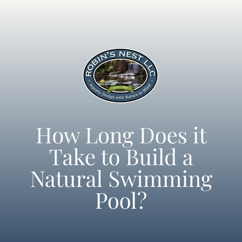 How Long Does it Take to Build a Natural Swimming Pool?