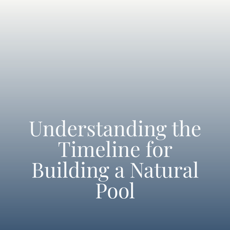 Understanding the Timeline for Building a Natural Pool