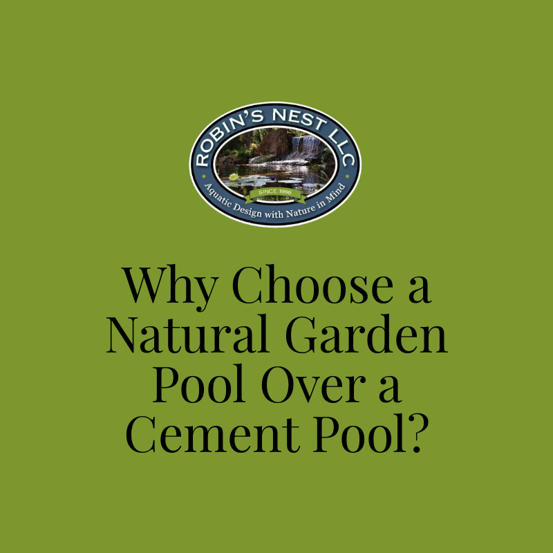 Why Choose a Natural Garden Pool Over a Cement Pool?