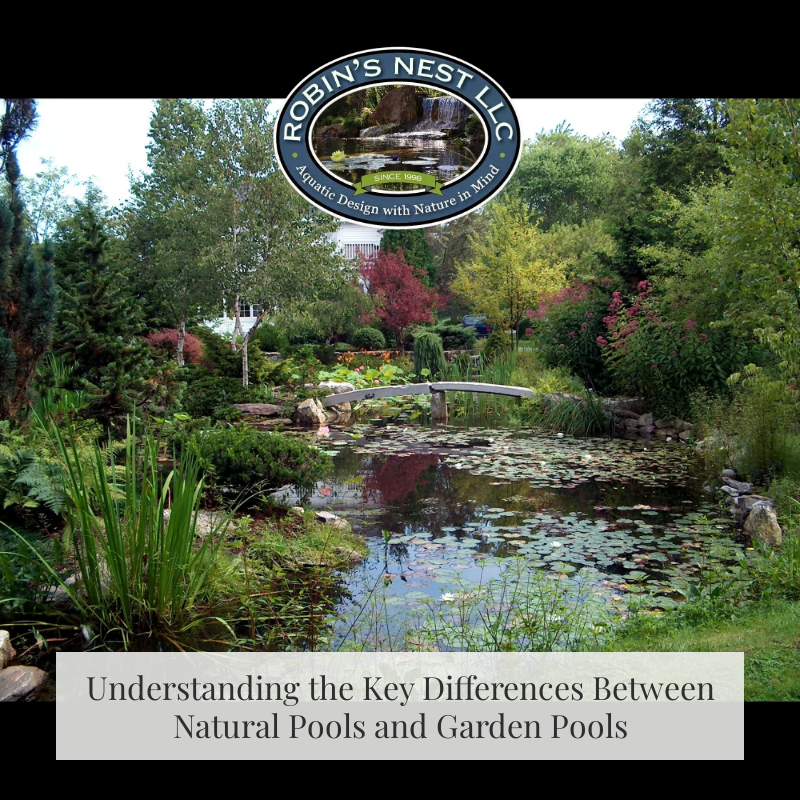 Understanding the Key Differences Between Natural Pools and Garden Pools