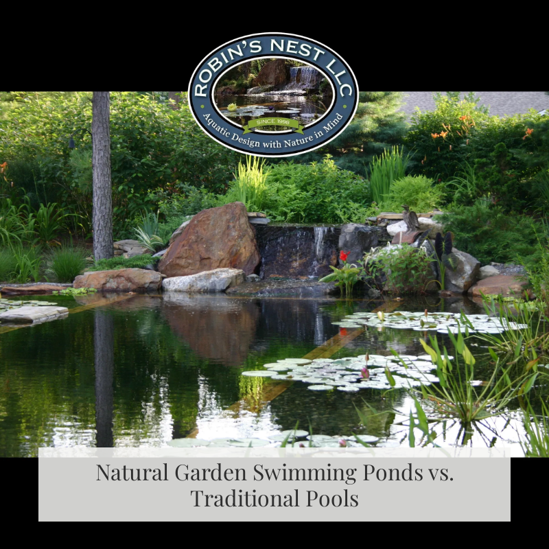 Natural Garden Swimming Ponds vs. Traditional Pools: Making the Right Choice